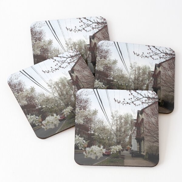 Item preview, Schenectady 39 designed and sold by SyRP.