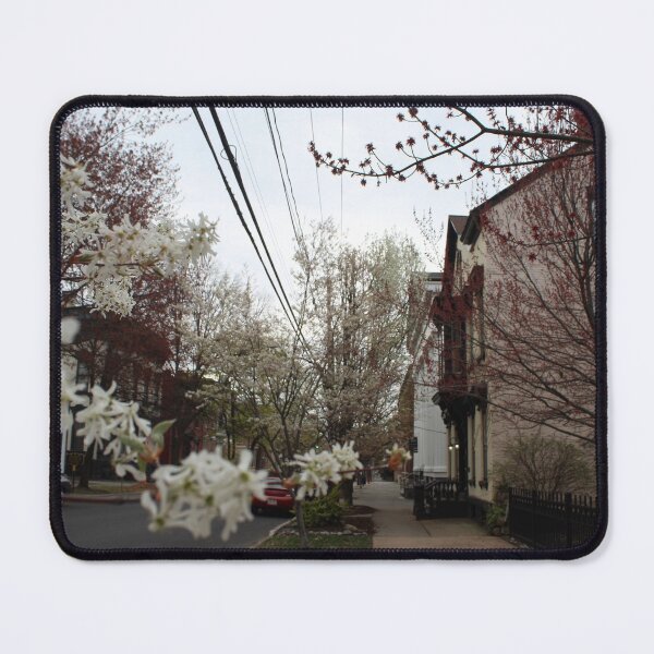 Item preview, Schenectady 39 designed and sold by SyRP.
