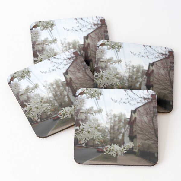Item preview, Schenectady 40 designed and sold by SyRP.