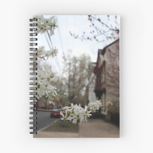 Item preview, Schenectady 40 designed and sold by SyRP.