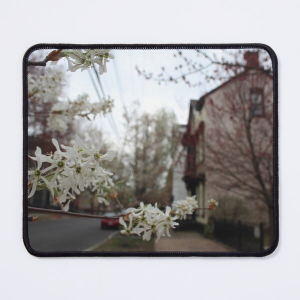 Item preview, Schenectady 40 designed and sold by SyRP.