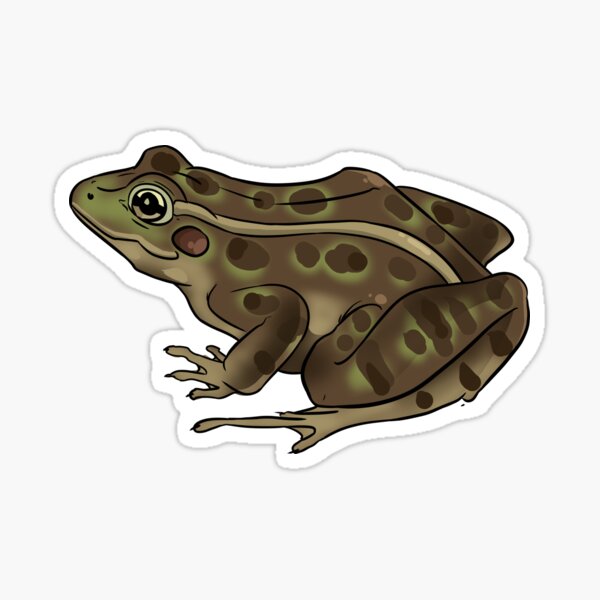 Leopard Frog Stickers for Sale, Free US Shipping