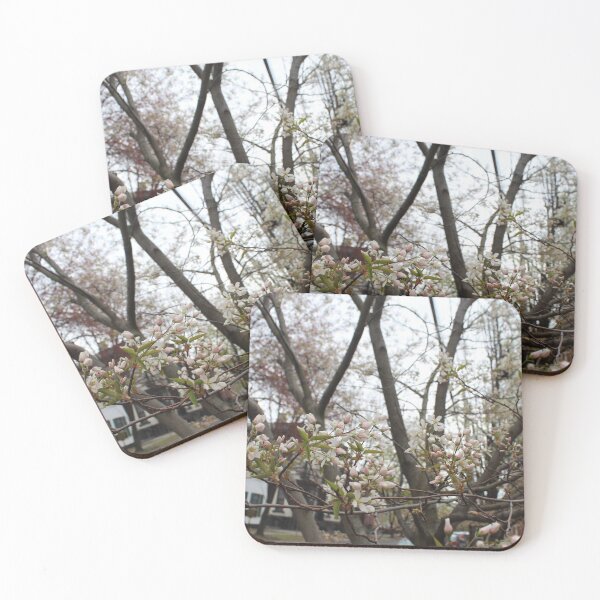 Item preview, Schenectady 41 designed and sold by SyRP.
