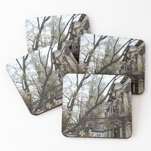 Item preview, Schenectady 42 designed and sold by SyRP.