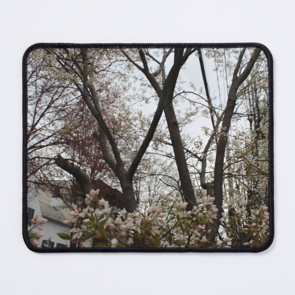 Item preview, Schenectady 43 designed and sold by SyRP.