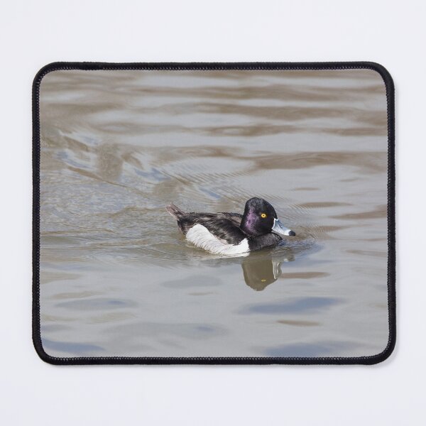 Item preview, Ring-Necked Duck designed and sold by Graham Prentice.