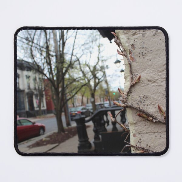 Item preview, Schenectady 44 designed and sold by SyRP.