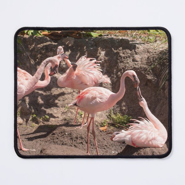 Item preview, Attention to flamingo on the nest designed and sold by Zina Stromberg.