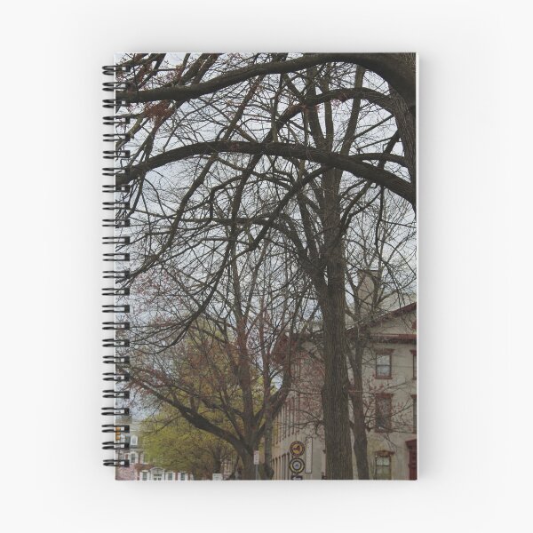 Item preview, Schenectady 45 designed and sold by SyRP.