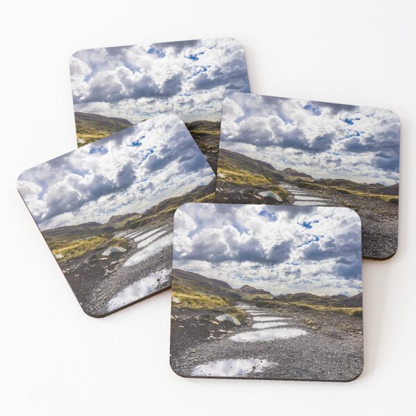 Item preview, Rainy day in Torres del Paine National Park designed and sold by Lyl Dil Creations.