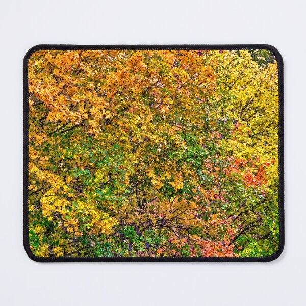 Item preview, Alpine Loop Autumn, Autumn Leaves, designed and sold by DAM Creative ⭐⭐⭐⭐⭐.