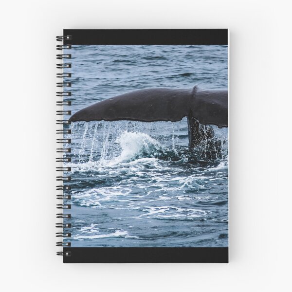 Item preview, Sperm Whale designed and sold by Lyl Dil Creations.