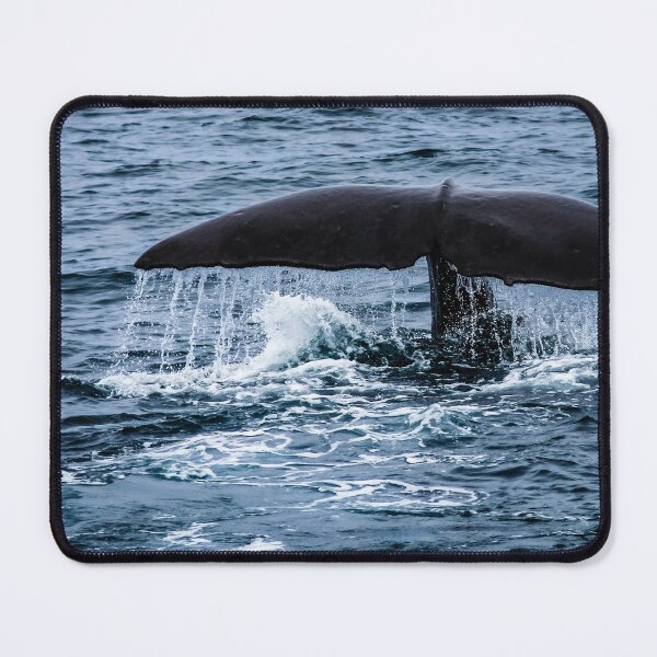 Item preview, Sperm Whale designed and sold by Lyl Dil Creations.