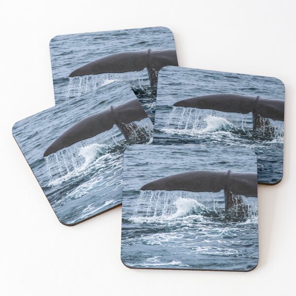 Item preview, Sperm Whale designed and sold by Lyl Dil Creations.
