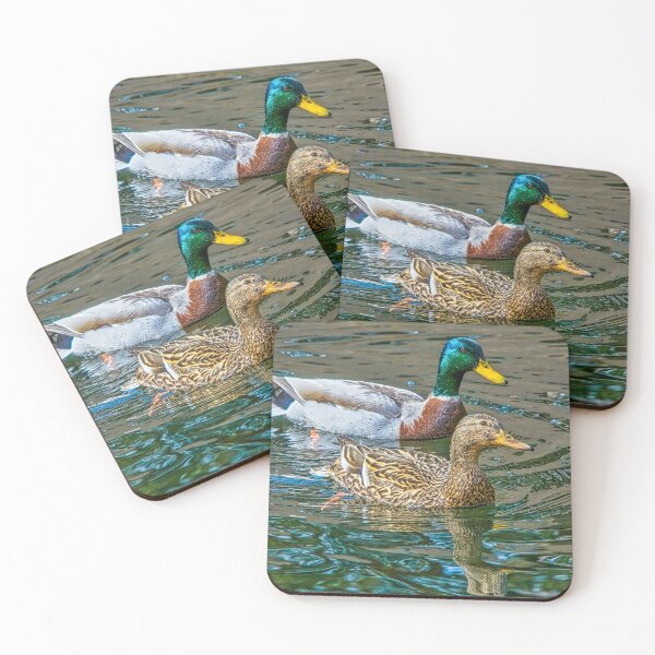 Item preview, Mallard Ducks, Lake Bird Prints, designed and sold by DAM Creative ⭐⭐⭐⭐⭐.
