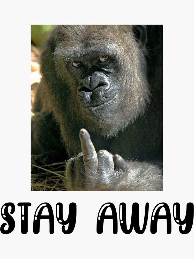 "Stay Away Gorilla Middle Finger " Sticker by MagiCatCoS2 Redbubble