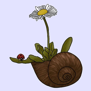 Artwork thumbnail, Flower Shell by Rachel Holder