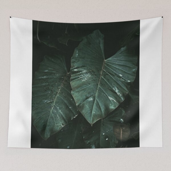 Item preview, Close up macro plants in the jungle | Colombia designed and sold by photofelix-.