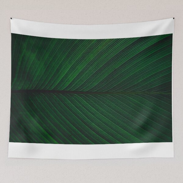 Item preview, Close up macro plants in the jungle | Colombia designed and sold by photofelix-.
