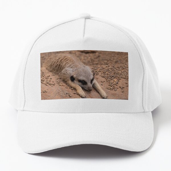 Cute Meerkat Baseball Cap