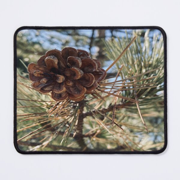 Item preview, Pine Cone designed and sold by Views4Days.