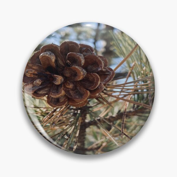 Item preview, Pine Cone designed and sold by Views4Days.