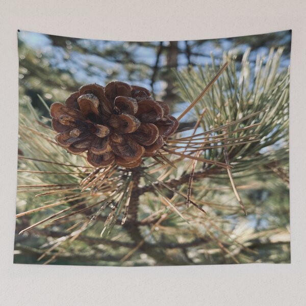 Item preview, Pine Cone designed and sold by Views4Days.