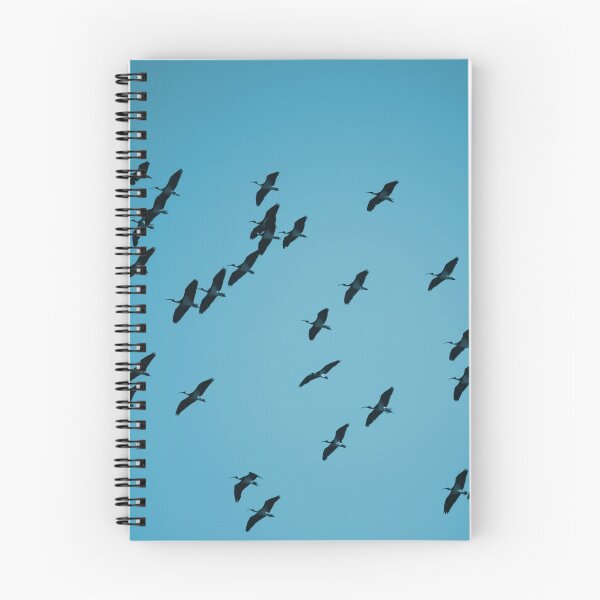 Item preview, Ibis Sky designed and sold by Jen Cooper.