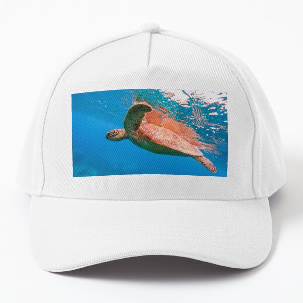 Swim with the turtle. Baseball Cap