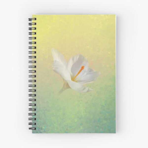 Item preview, Dreamy White Crocus Four designed and sold by Elisabeth Lucas.