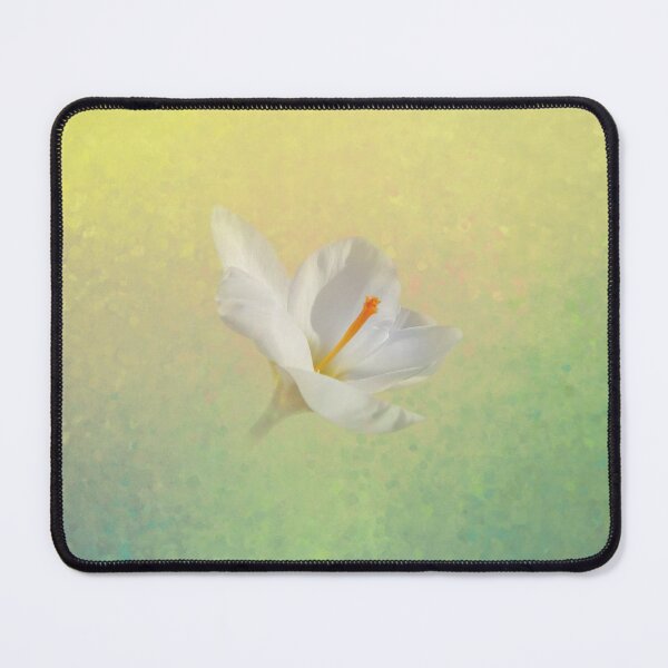 Item preview, Dreamy White Crocus Four designed and sold by Elisabeth Lucas.