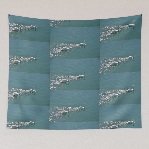 Item preview, Swans In The Sunlight designed and sold by Malcolm Snook.