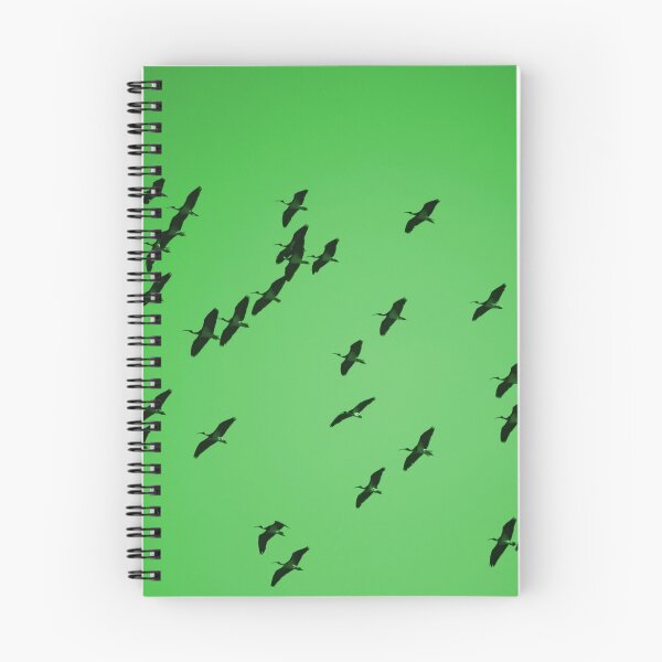 Item preview, Ibis Sky Green designed and sold by Jen Cooper.