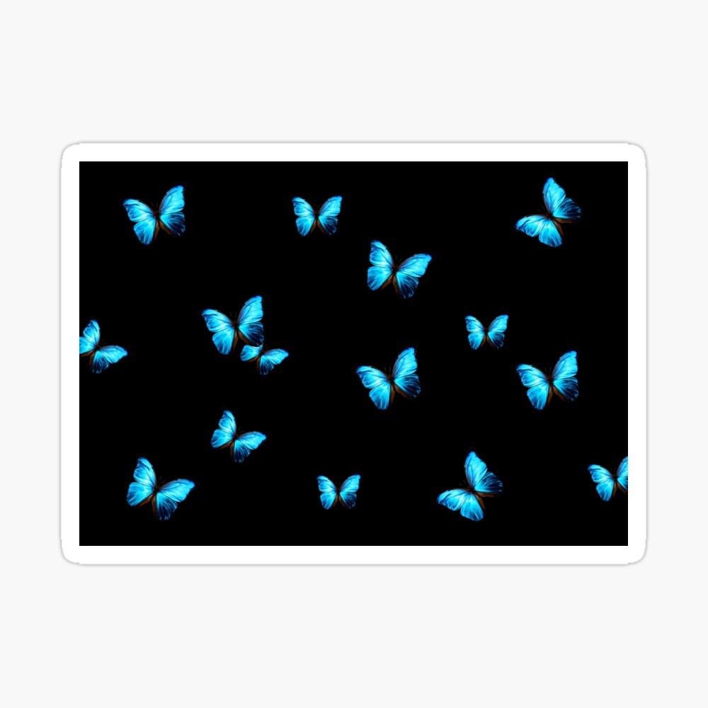 Supper Blue butterflies on a black background