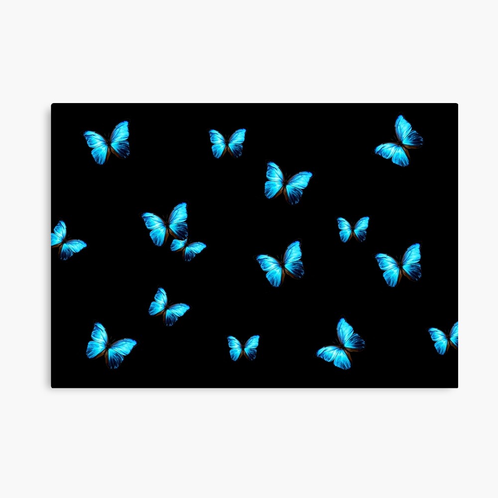 Supper Blue butterflies on a black background