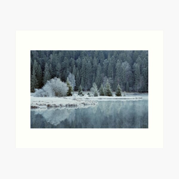 Whitened by frost Art Print