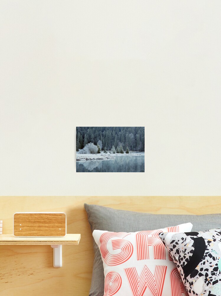 Thumbnail 2 of 3, Photographic Print, Whitened by frost designed and sold by patmo.