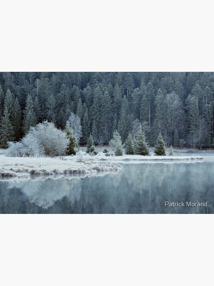 Whitened by frost by patmo