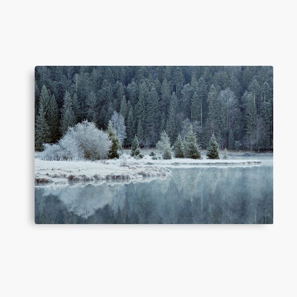Whitened by frost Canvas Print