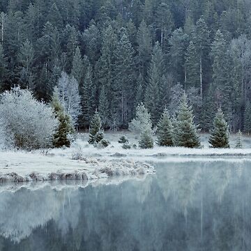 Artwork thumbnail, Whitened by frost by Patrick Morand