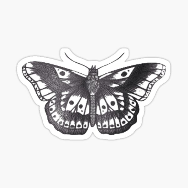 Free Free Harry Styles Butterfly Tattoo Svg 654 SVG PNG EPS DXF File