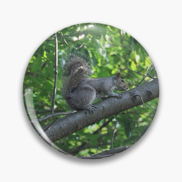 Item preview, Eastern Gray Squirrel Sitting on a Tree Branch designed and sold by JariHawk.
