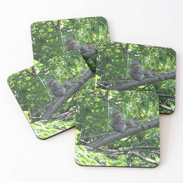 Item preview, Eastern Gray Squirrel Sitting on a Tree Branch designed and sold by JariHawk.