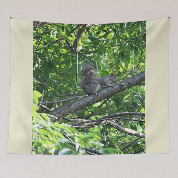 Item preview, Eastern Gray Squirrel Sitting on a Tree Branch designed and sold by JariHawk.