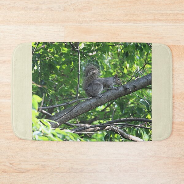 Item preview, Eastern Gray Squirrel Sitting on a Tree Branch designed and sold by JariHawk.
