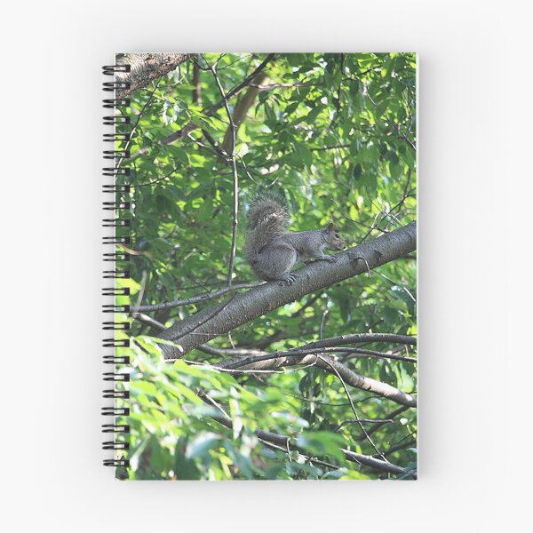 Item preview, Eastern Gray Squirrel Sitting on a Tree Branch designed and sold by JariHawk.