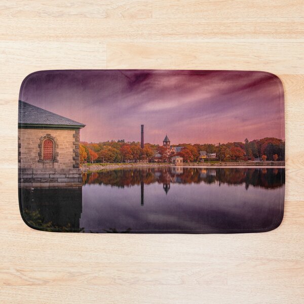 Item preview, 2021 Fall in  reflection- 2 designed and sold by LudaNayvelt.