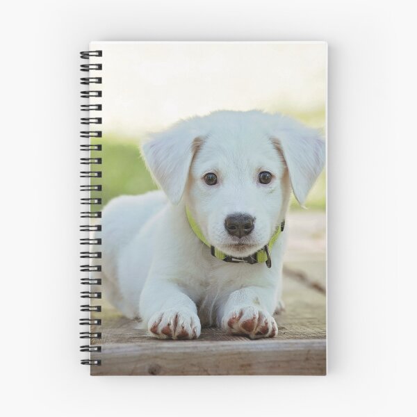 Item preview, cute dog designed and sold by TheVIP.