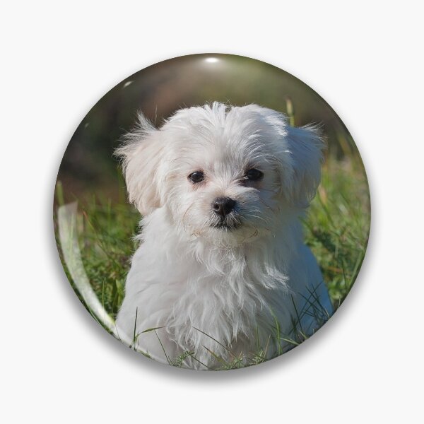Item preview, cute dog designed and sold by TheVIP.