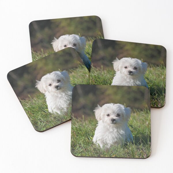 Item preview, cute dog designed and sold by TheVIP.